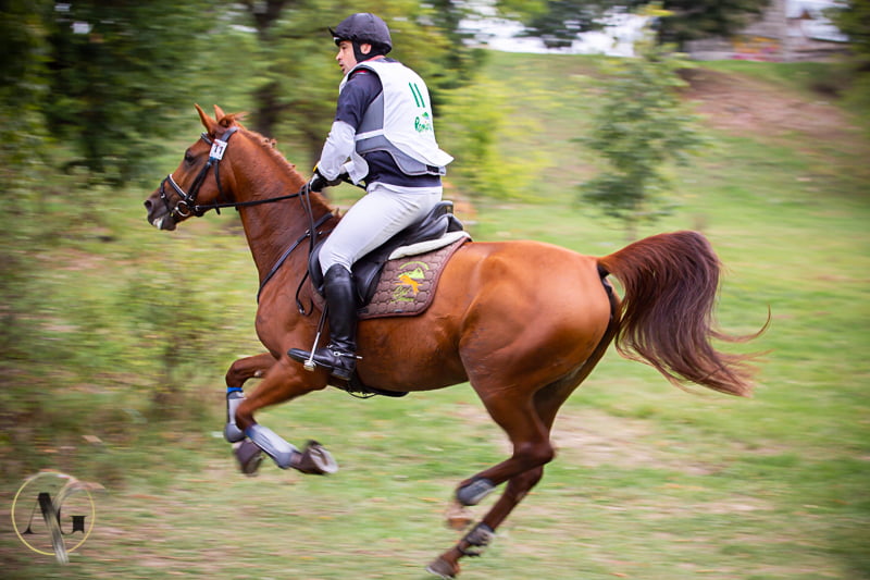 Foto concurs ecvestru Karpatia horse show